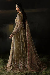 Hayat by Afrozeh Embroidered Organza Stitched 3Pc Suit AFH-24-01 SUHANA