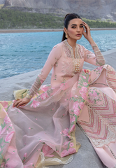 Crimson Embroidered Lawn Stitched 3Pc Suit CL24-D3B